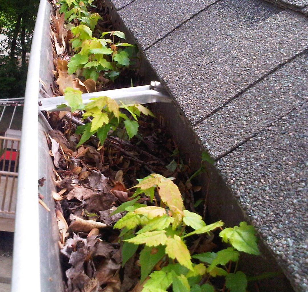 Gutter Cleaning Isn't Enough